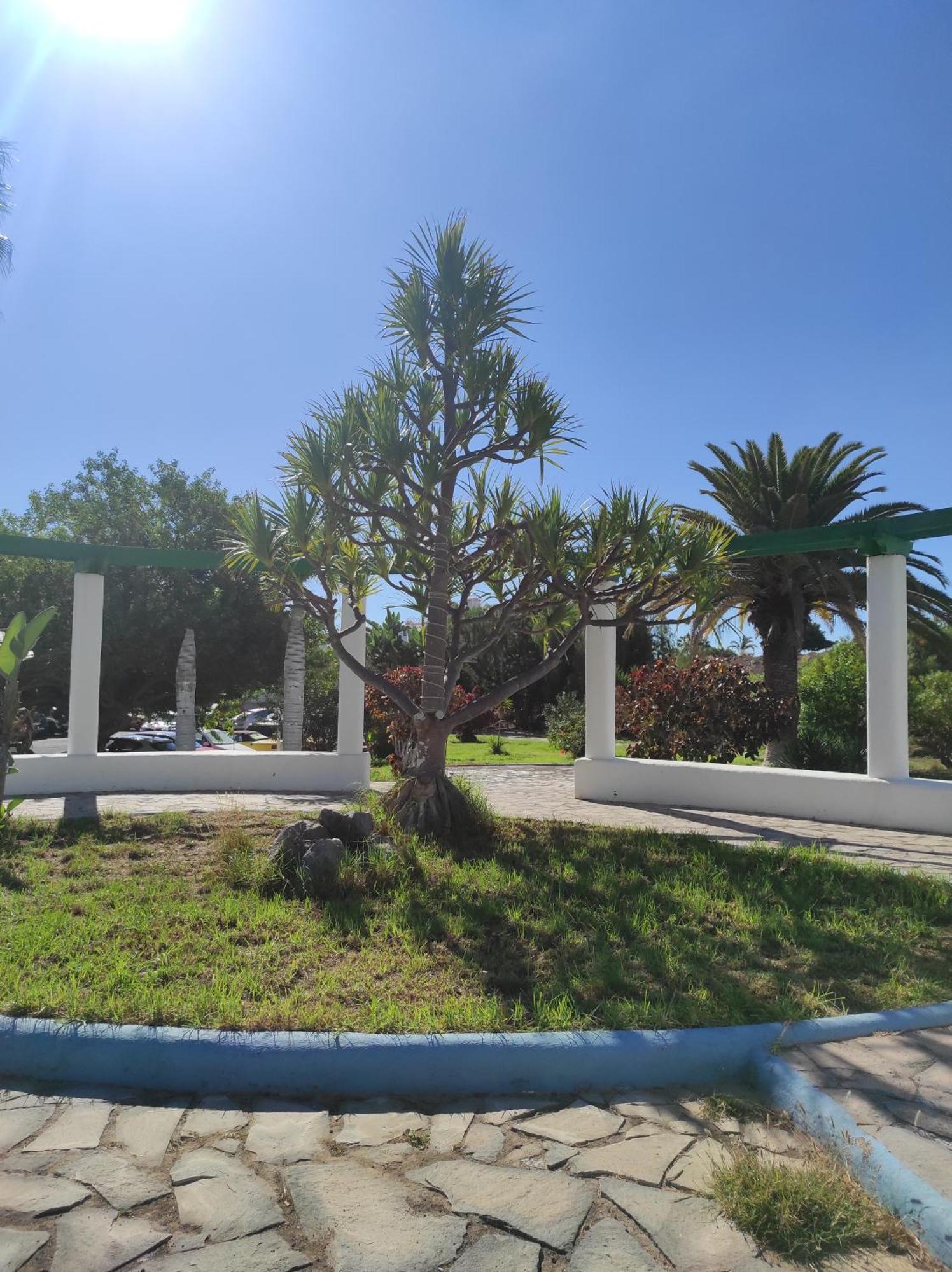 Maria Luxury Apartament Golf Del Sur Tenerife San Miguel de Abona Extérieur photo